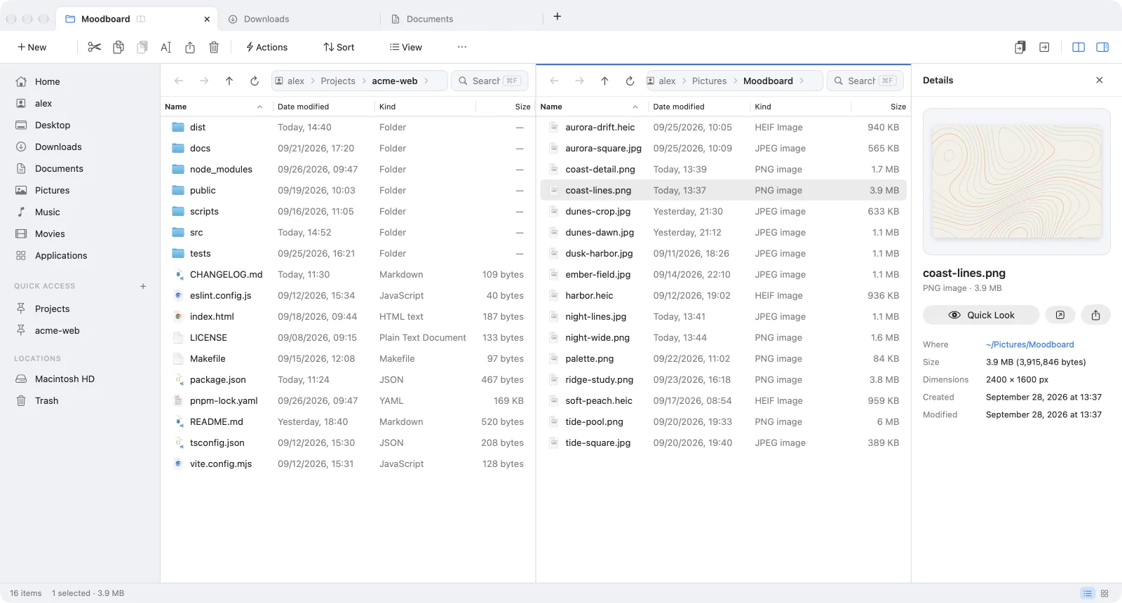 MacScout with two panes: a web project on the left, a folder of images on the right, and the details panel showing the selected image.